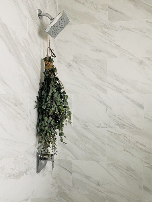 Relaxing eucalyptus in marble shower